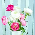 e-cards zu Muttertag und für alle Blumenliebhaber
