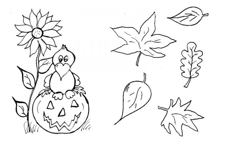 Ausmalbilder Herbst - Malvorlagen - Kreativzauber®